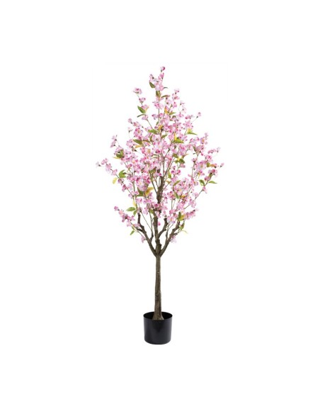 Cerezo en flor en maceta para la decoración de verano en escaparates de tiendas o comercios