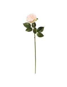 Peonía en tallo para la decoración en del día de los enamorados 2