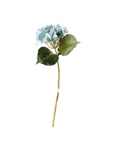 Hortensia en tallo para escaparates veraniegos con helados en tiendas