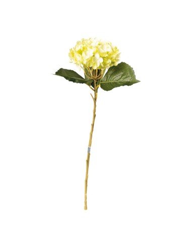 Hortensia en tallo para escaparates veraniegos con helados en tiendas