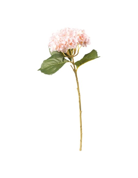 Hortensia en tallo para escaparates veraniegos con helados en tiendas