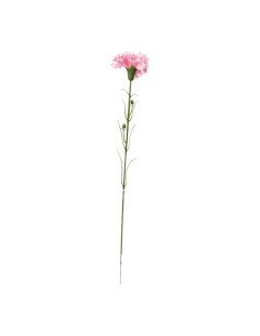 Clavel en tallo para la decoración de verano en escaparates de tiendas o comercios 2