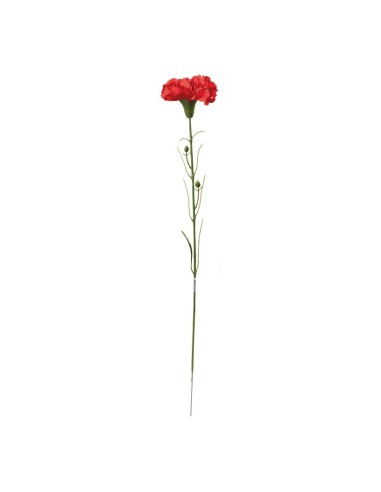 Clavel en tallo para la decoración de verano en escaparates de tiendas o comercios
