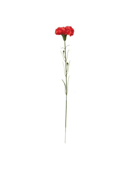 Clavel en tallo para la decoración de verano en escaparates de tiendas o comercios