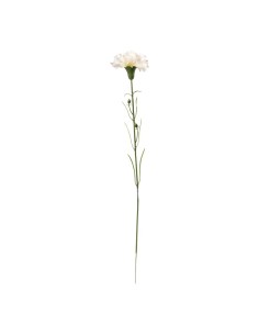 Clavel en tallo para la decoración de verano en escaparates de tiendas o comercios 2