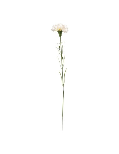 Clavel en tallo para la decoración de verano en escaparates de tiendas o comercios
