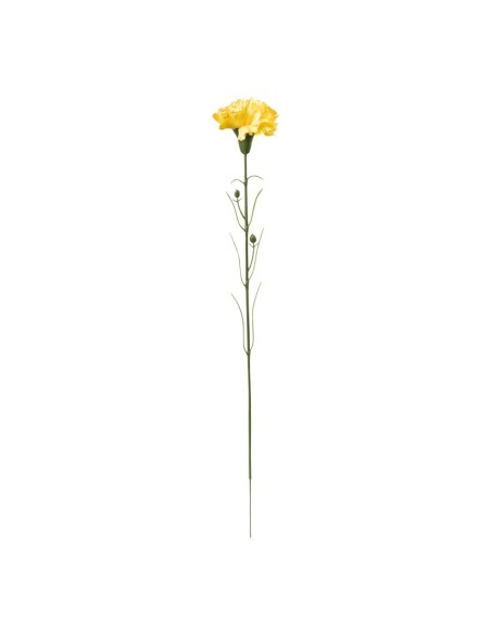 Clavel en tallo para la decoración de verano en escaparates de tiendas o comercios