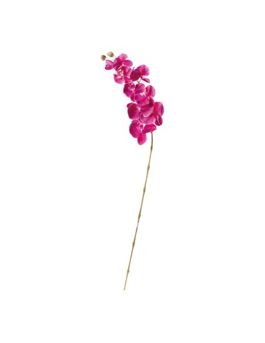 Orquídea en tallo para la decoración de verano en escaparates de tiendas o comercios