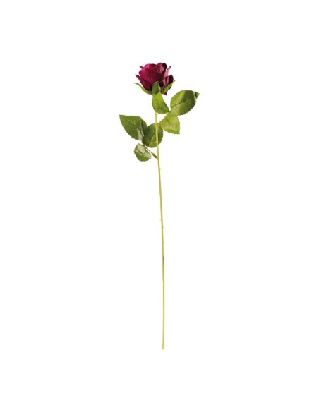 Rosa en tallo para la decoración en del día de los enamorados