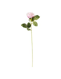 Rosa en tallo para la decoración en del día de los enamorados 2