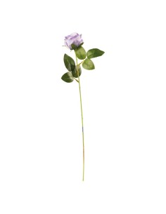 Rosa en tallo para la decoración en del día de los enamorados 2
