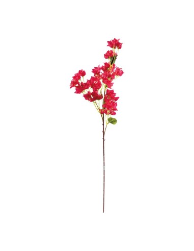 Aerosol de buganvillas para la decoración de verano en escaparates de tiendas o comercios
