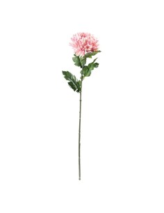 Crisantemo en tallo para la decoración de verano en escaparates de tiendas o comercios 2