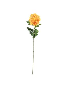 Crisantemo en tallo para la decoración de verano en escaparates de tiendas o comercios 2