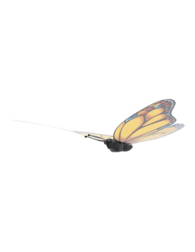 Mariposa para la decoración de verano en escaparates de tiendas o comercios