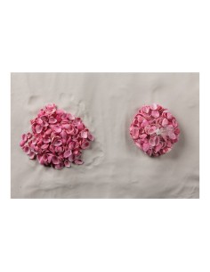 Conchas en red para la decoración de verano en escaparates de tiendas o comercios 2