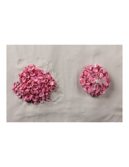 Conchas en red para la decoración de verano en escaparates de tiendas o comercios