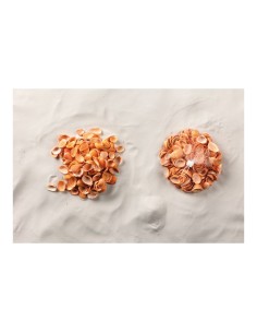 Conchas en red para la decoración de verano en escaparates de tiendas o comercios 2
