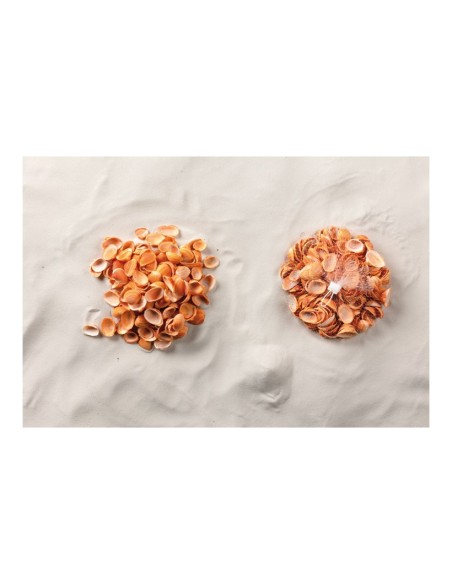 Conchas en red para la decoración de verano en escaparates de tiendas o comercios