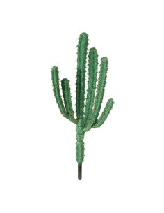 Cactus para la decoración de verano en escaparates de tiendas o comercios 2