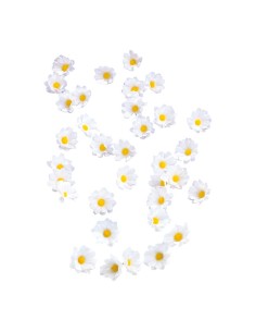 Flores dispersas para la decoración de verano en escaparates de tiendas o comercios 2