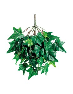 Arbusto de hiedra para la decoración de verano en escaparates de tiendas o comercios 2
