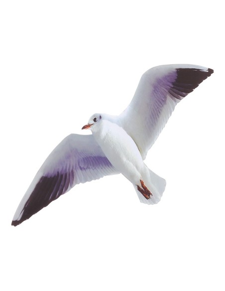 Gaviota voladora para la decoración de verano en escaparates de tiendas o comercios