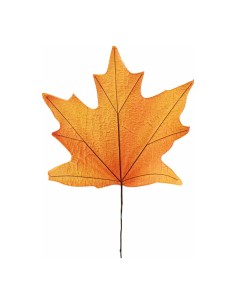 Hoja de arce para escaparates de otoño en tiendas y centros comerciales 2
