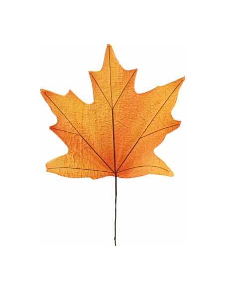 Hoja de arce para escaparates de otoño en tiendas y centros comerciales