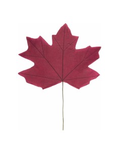 Hoja de arce para escaparates de otoño en tiendas y centros comerciales 2