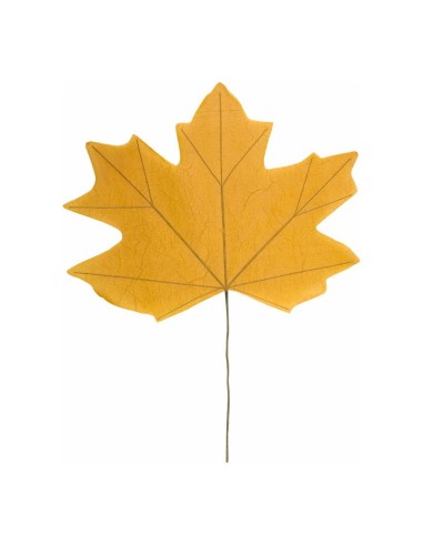 Hoja de arce para escaparates de otoño en tiendas y centros comerciales
