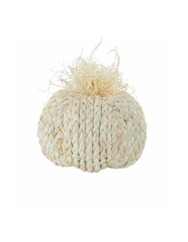 Calabaza para la decoración otoñal de escaparates y espacios