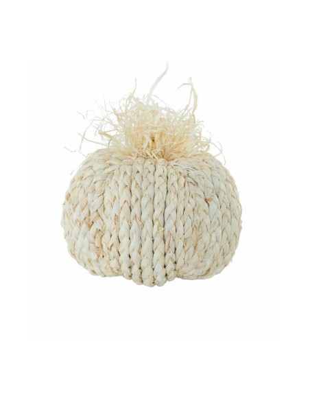 Calabaza para la decoración otoñal de escaparates y espacios