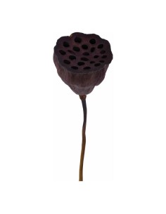 Flor de loto para escaparates de otoño en tiendas y centros comerciales 2