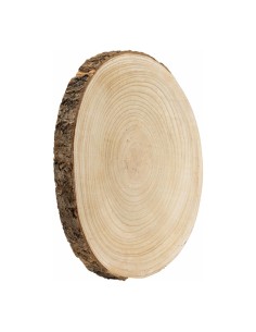 Disco de tronco de árbol para la decoración otoñal de escaparates y espacios 2