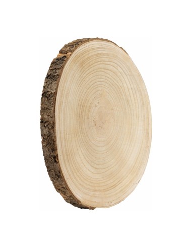 Disco de tronco de árbol para la decoración otoñal de escaparates y espacios