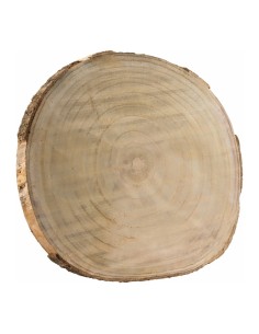 Disco de tronco de árbol para la decoración otoñal de escaparates y espacios 2