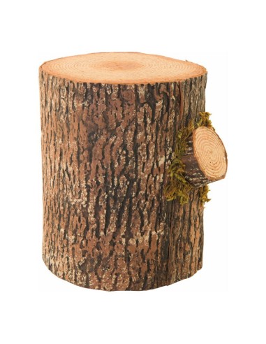 Tronco de árbol de pino para la decoración otoñal de escaparates y espacios