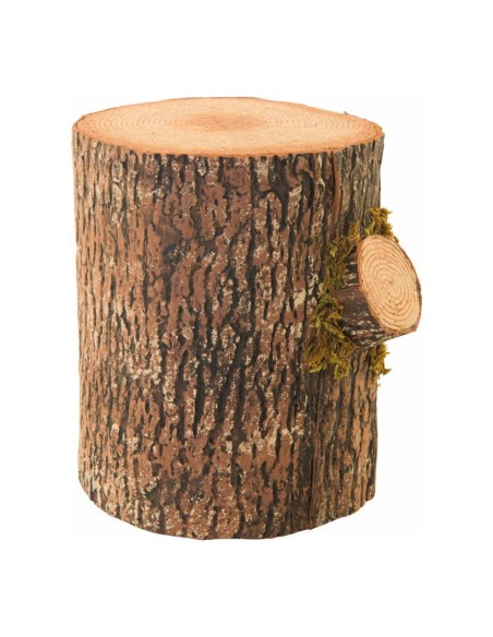 Tronco de árbol de pino para la decoración otoñal de escaparates y espacios