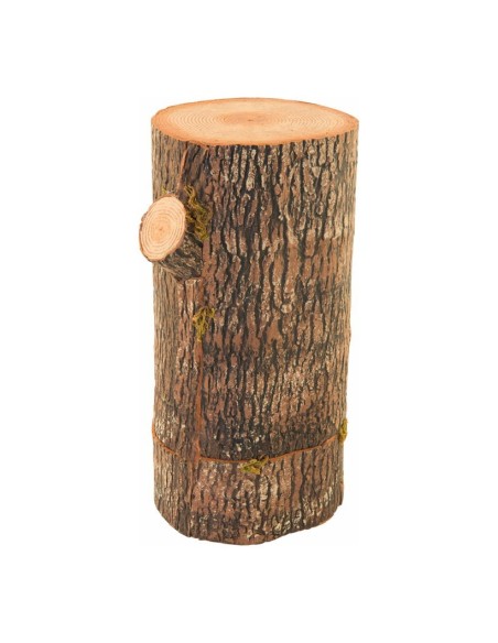 Tronco de árbol de pino para la decoración otoñal de escaparates y espacios