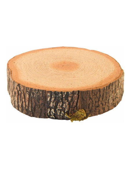 Disco de tronco de árbol para la decoración otoñal de escaparates y espacios
