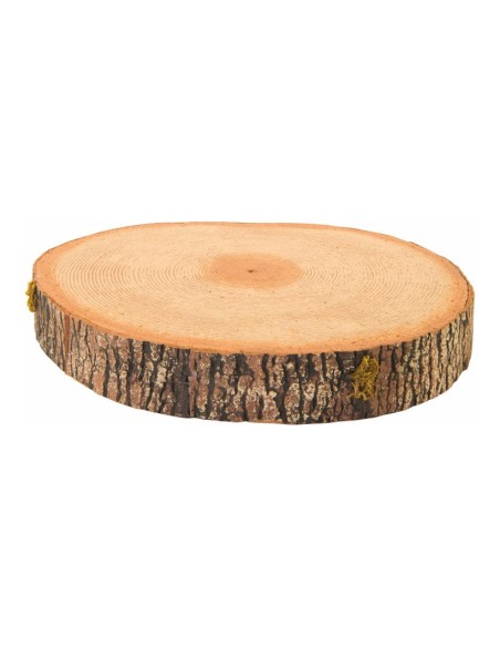 Disco de tronco de árbol para la decoración otoñal de escaparates y espacios