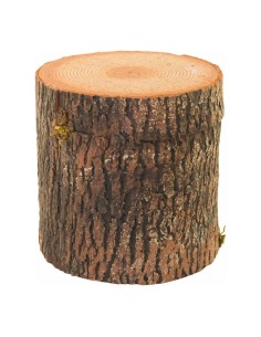 Tronco de árbol de pino para la decoración otoñal de escaparates y espacios 2