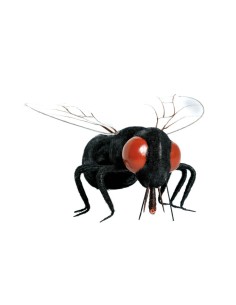Mosca para la decorar en otoño los escaparates o espacios 2