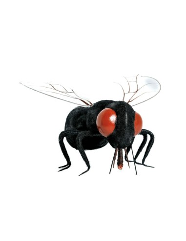 Mosca para la decorar en otoño los escaparates o espacios