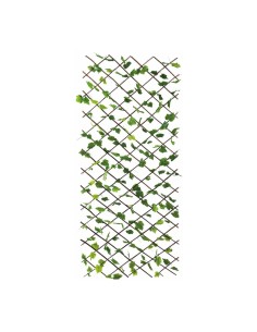 Valla de hojas de parra para la decoración de la vendimia en licorerías catas bodegas de vino 2
