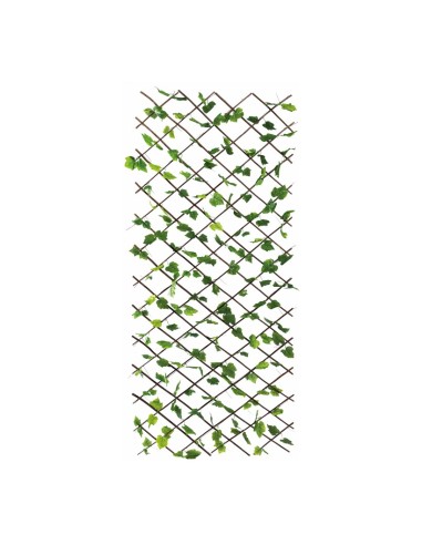 Valla de hojas de parra para la decoración de la vendimia en licorerías catas bodegas de vino
