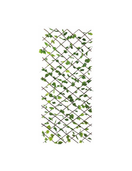 Valla de hojas de parra para la decoración de la vendimia en licorerías catas bodegas de vino
