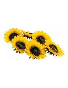 Cabezas de girasol para la decoración de otoño en escaparates de tiendas o comercios 2
