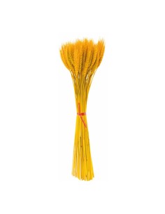 Paquete de ramas de trigo para la decoración de fiestas populares y escaparates 2